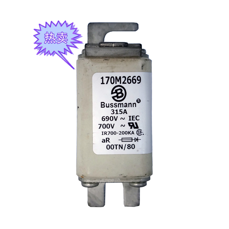 快速熔斷器170M2699（80A）