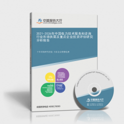 2021-2026年中國(guó)電力技術(shù)服務(wù)和咨詢(xún)行業(yè)市場(chǎng)供需及重點(diǎn)企業(yè)投資評(píng)估研究分析
