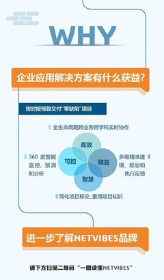 一圖讀懂NETVIBES 重資產(chǎn)項目數(shù)據(jù)智能與企業(yè)技術(shù)咨詢服務(wù)